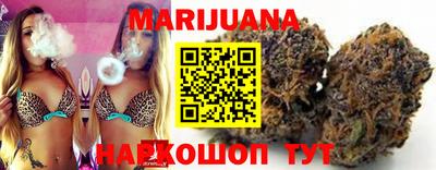 шишки Новозыбков