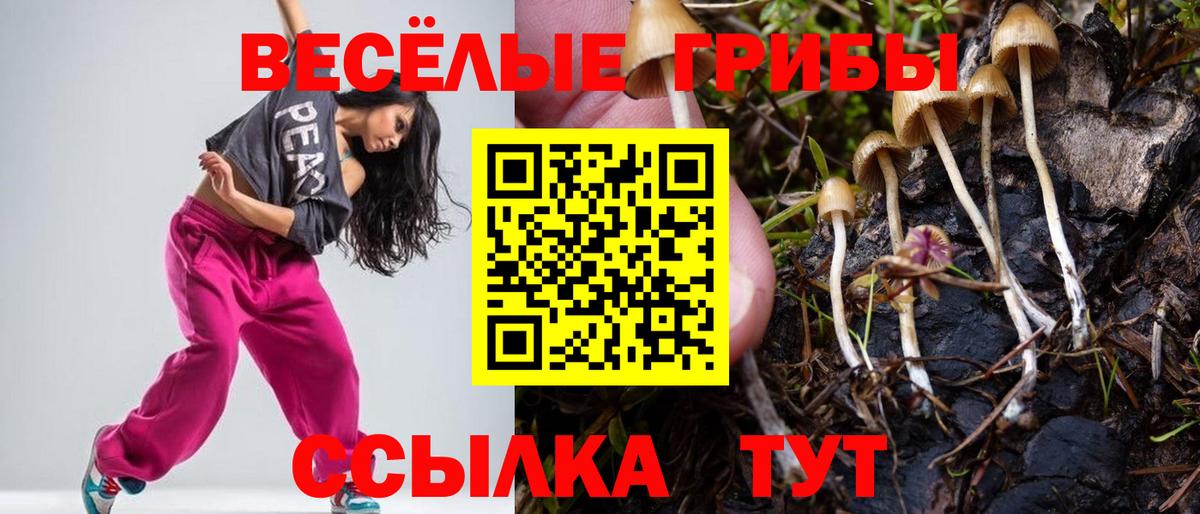 Галлюциногенные грибы ЛСД  Галлюциногенные грибы GOLDEN TEACHER  Узловая  Вход с VPN 
